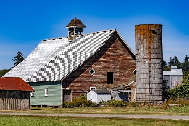 Boerderij